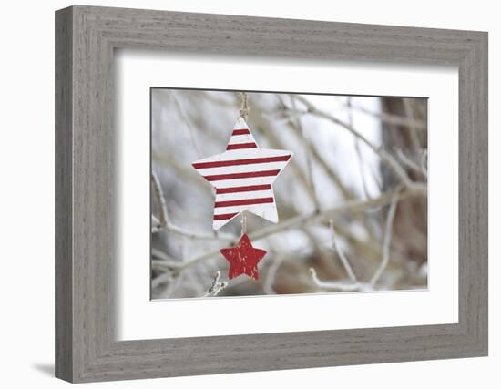 Poinsettia-Andrea Haase-Framed Photographic Print