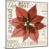 Poinsettia-Albert Koetsier-Mounted Photographic Print