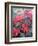 Poinsettia-Karen Armitage-Framed Giclee Print