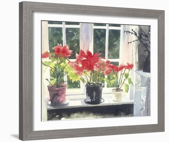 Poinsettias-Richard Akerman-Framed Giclee Print