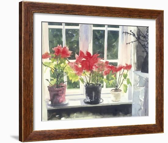 Poinsettias-Richard Akerman-Framed Giclee Print