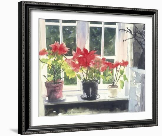 Poinsettias-Richard Akerman-Framed Giclee Print