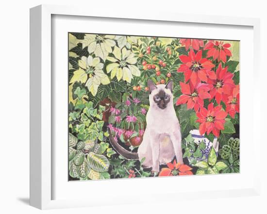 Poinsettias-Hilary Jones-Framed Giclee Print