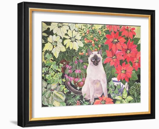 Poinsettias-Hilary Jones-Framed Giclee Print