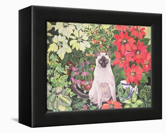 Poinsettias-Hilary Jones-Framed Premier Image Canvas