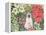 Poinsettias-Hilary Jones-Framed Premier Image Canvas