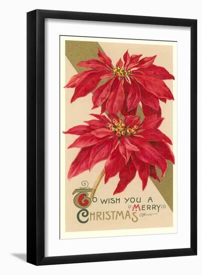 Poinsettias-null-Framed Art Print