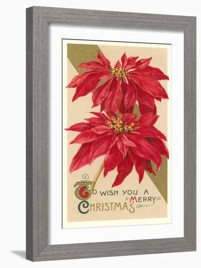 Poinsettias-null-Framed Premium Giclee Print