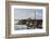 Point Arena Lighthouse and Museum, Arena Rock Marine Natural Preserve, California, Usa-Rainer Mirau-Framed Photographic Print