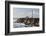 Point Arena Lighthouse and Museum, Arena Rock Marine Natural Preserve, California, Usa-Rainer Mirau-Framed Photographic Print