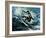 Point Break-Sydney Edmunds-Framed Giclee Print