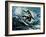 Point Break-Sydney Edmunds-Framed Giclee Print