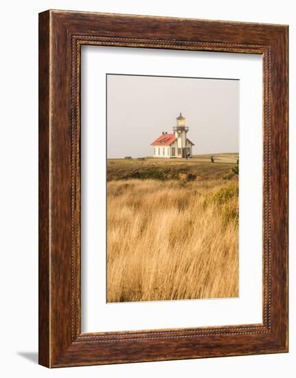 Point Cabrillo Lighthouse and Marine Preserve, Mendocino, California, USA-Stuart Westmorland-Framed Photographic Print