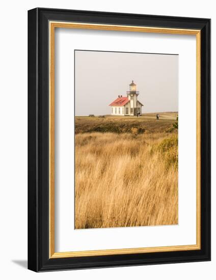 Point Cabrillo Lighthouse and Marine Preserve, Mendocino, California, USA-Stuart Westmorland-Framed Photographic Print