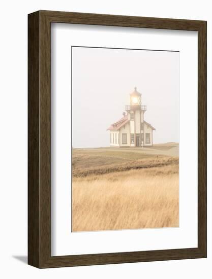 Point Cabrillo Lighthouse and Marine Preserve, Mendocino, California, USA-Stuart Westmorland-Framed Photographic Print