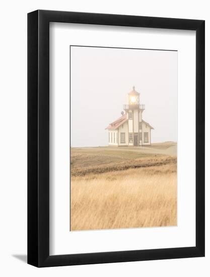 Point Cabrillo Lighthouse and Marine Preserve, Mendocino, California, USA-Stuart Westmorland-Framed Photographic Print