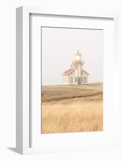 Point Cabrillo Lighthouse and Marine Preserve, Mendocino, California, USA-Stuart Westmorland-Framed Photographic Print