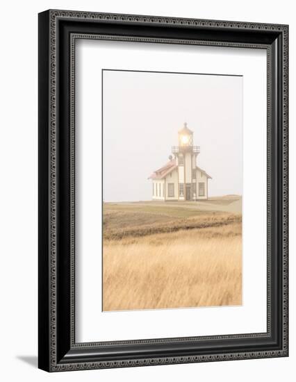 Point Cabrillo Lighthouse and Marine Preserve, Mendocino, California, USA-Stuart Westmorland-Framed Photographic Print
