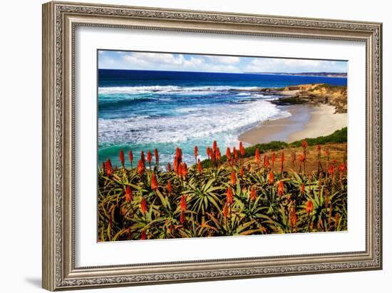 Point La Jolla I-Alan Hausenflock-Framed Photo