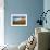 Point La Jolla I-Alan Hausenflock-Framed Photo displayed on a wall