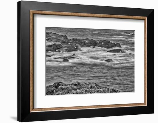 Point Lobos, Carmel, California.-John Ford-Framed Photographic Print