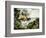 Point Lobos, Monterey, California-Thomas Moran-Framed Giclee Print