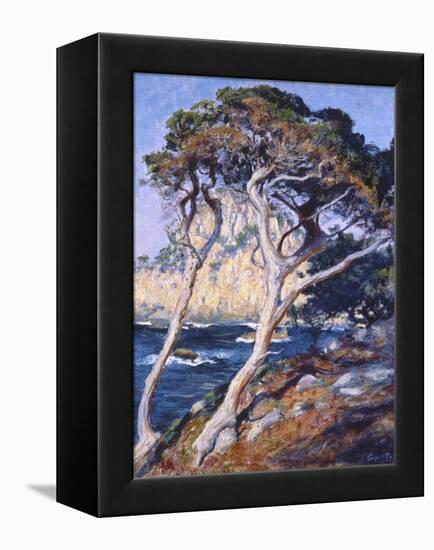 Point Lobos-Guy Rose-Framed Stretched Canvas