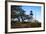 Point Loma Lighthouse I-Alan Hausenflock-Framed Photo