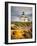 Point Loma Lighthouse in Cabrillo National Park, San Diego-sborisov-Framed Photographic Print