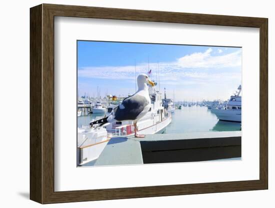 Point Loma, San Diego-f8grapher-Framed Photographic Print