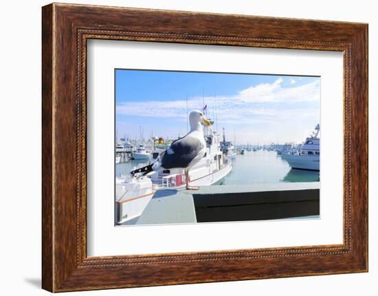 Point Loma, San Diego-f8grapher-Framed Photographic Print