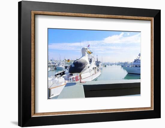 Point Loma, San Diego-f8grapher-Framed Photographic Print