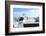 Point Loma, San Diego-f8grapher-Framed Photographic Print