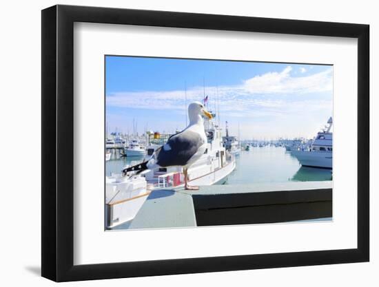 Point Loma, San Diego-f8grapher-Framed Photographic Print