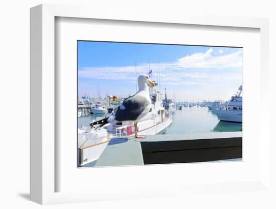 Point Loma, San Diego-f8grapher-Framed Photographic Print