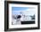 Point Loma, San Diego-f8grapher-Framed Photographic Print