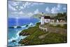 Point Montara, CA-Eduardo Camoes-Mounted Giclee Print