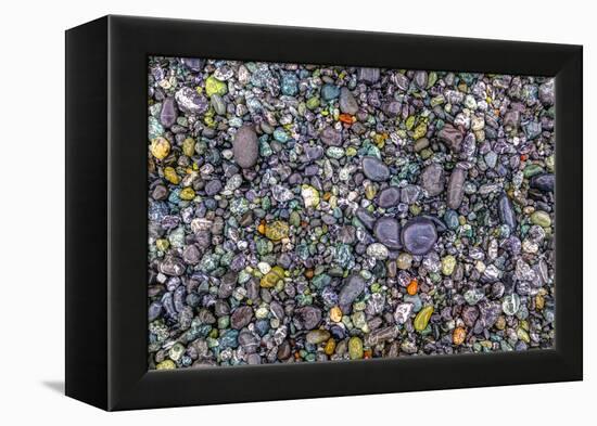 Point of the Arches, Washington, USA. Pebbles and rocks on the beach.-Stuart Westmorland-Framed Premier Image Canvas