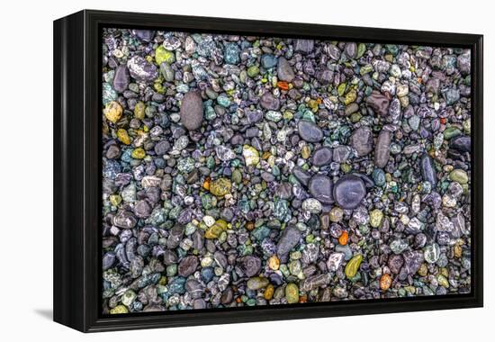 Point of the Arches, Washington, USA. Pebbles and rocks on the beach.-Stuart Westmorland-Framed Premier Image Canvas