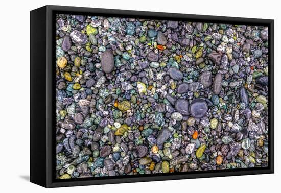 Point of the Arches, Washington, USA. Pebbles and rocks on the beach.-Stuart Westmorland-Framed Premier Image Canvas