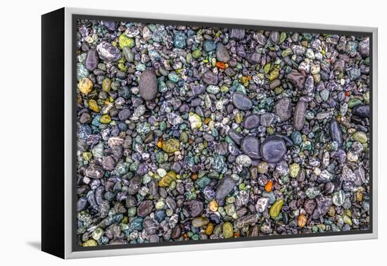 Point of the Arches, Washington, USA. Pebbles and rocks on the beach.-Stuart Westmorland-Framed Premier Image Canvas