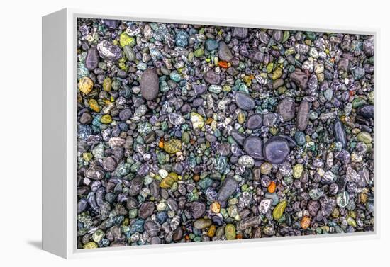 Point of the Arches, Washington, USA. Pebbles and rocks on the beach.-Stuart Westmorland-Framed Premier Image Canvas