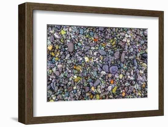 Point of the Arches, Washington, USA. Pebbles and rocks on the beach.-Stuart Westmorland-Framed Photographic Print