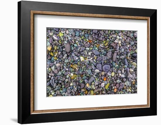 Point of the Arches, Washington, USA. Pebbles and rocks on the beach.-Stuart Westmorland-Framed Photographic Print