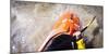 Point Of View Whitewater Kayaking In The Colorado River-Lindsay Daniels-Mounted Photographic Print