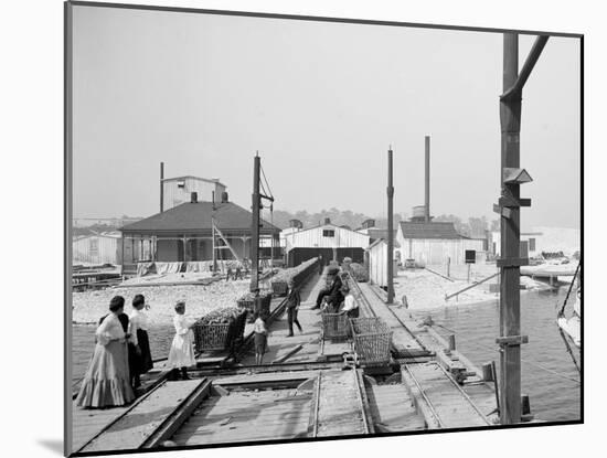 Point Oyster Houses, Biloxi, Miss.-null-Mounted Photo