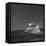 Point Reyes 1, Black and White-Moises Levy-Framed Stretched Canvas