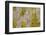 Point Reyes, Calif.-Art Wolfe-Framed Photographic Print