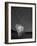 Point Reyes II, Black and White-Moises Levy-Framed Photographic Print
