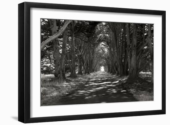 Point Reyes II-George Johnson-Framed Photographic Print
